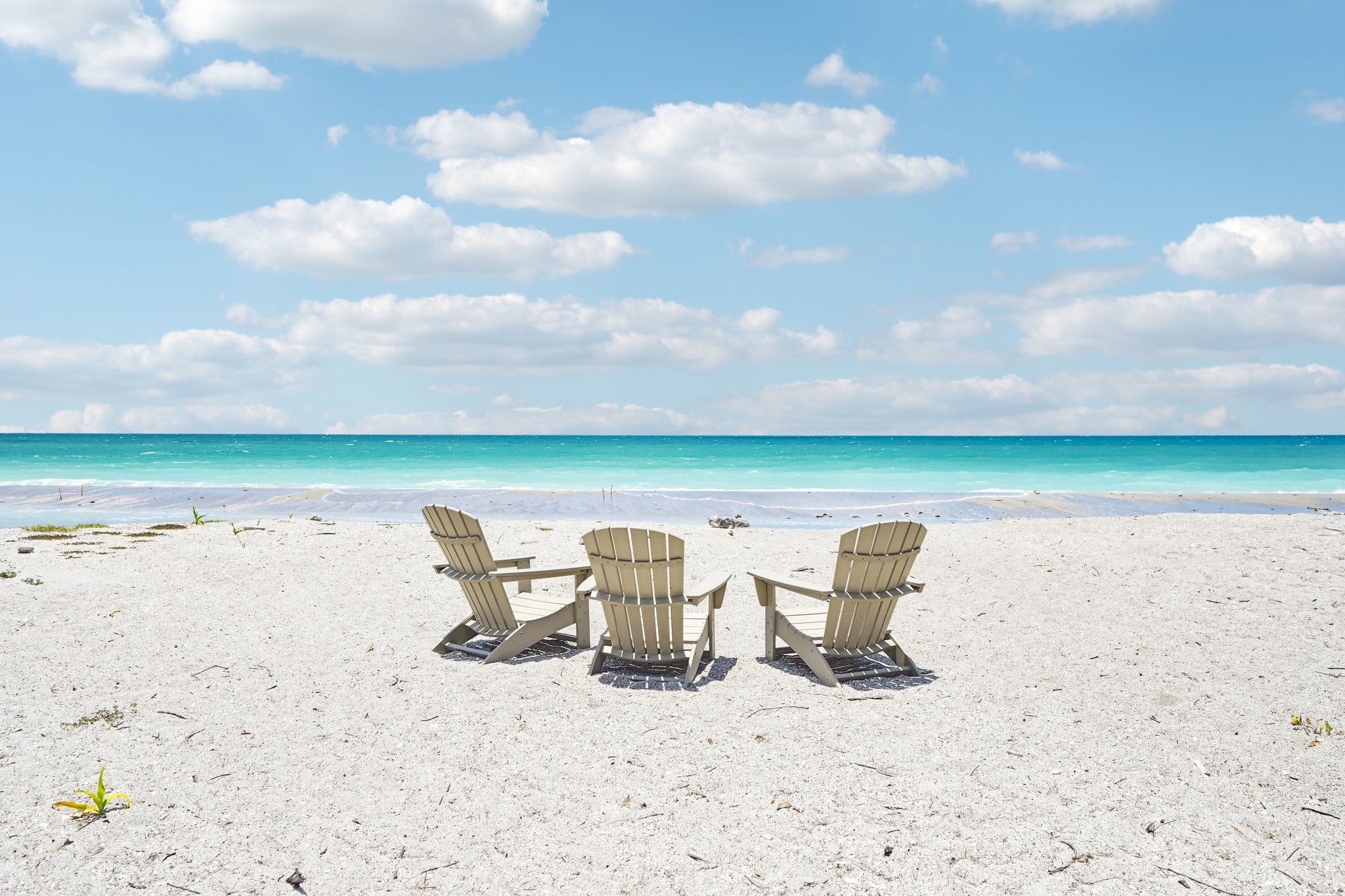 Manasota Key Rd-S1906-052.jpg