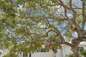 Manasota Key Rd-S1906-005.jpg