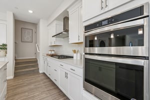 Vision Ct-S1308-018.jpg