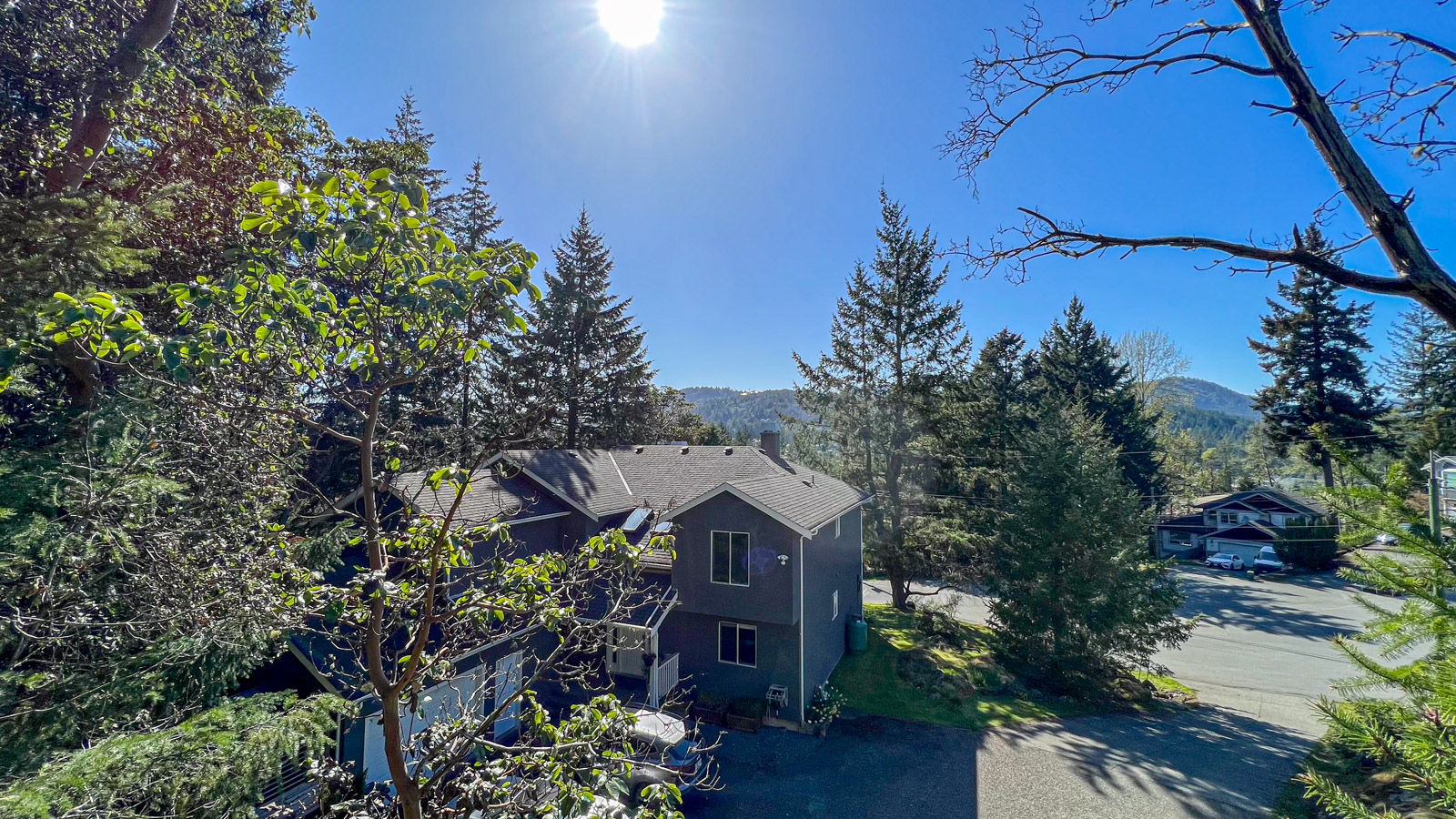 View of Bear Mountain/Mt. Finlayson