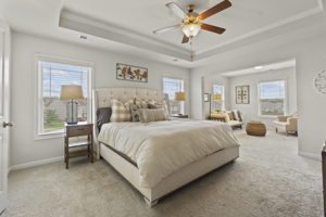 658 Waymeet Dr, Greer, SC 29651, USA Photo 14