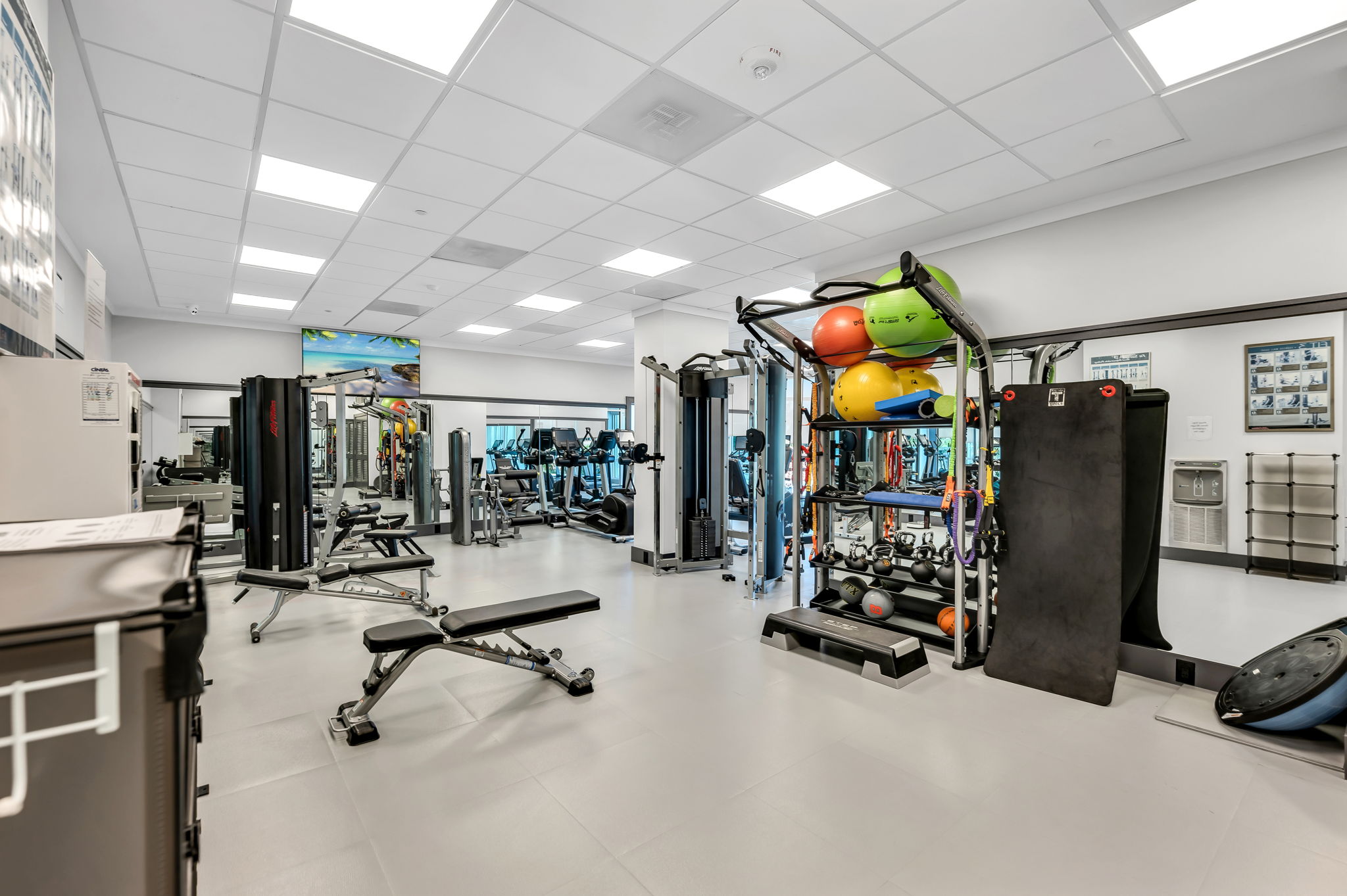Fitness
