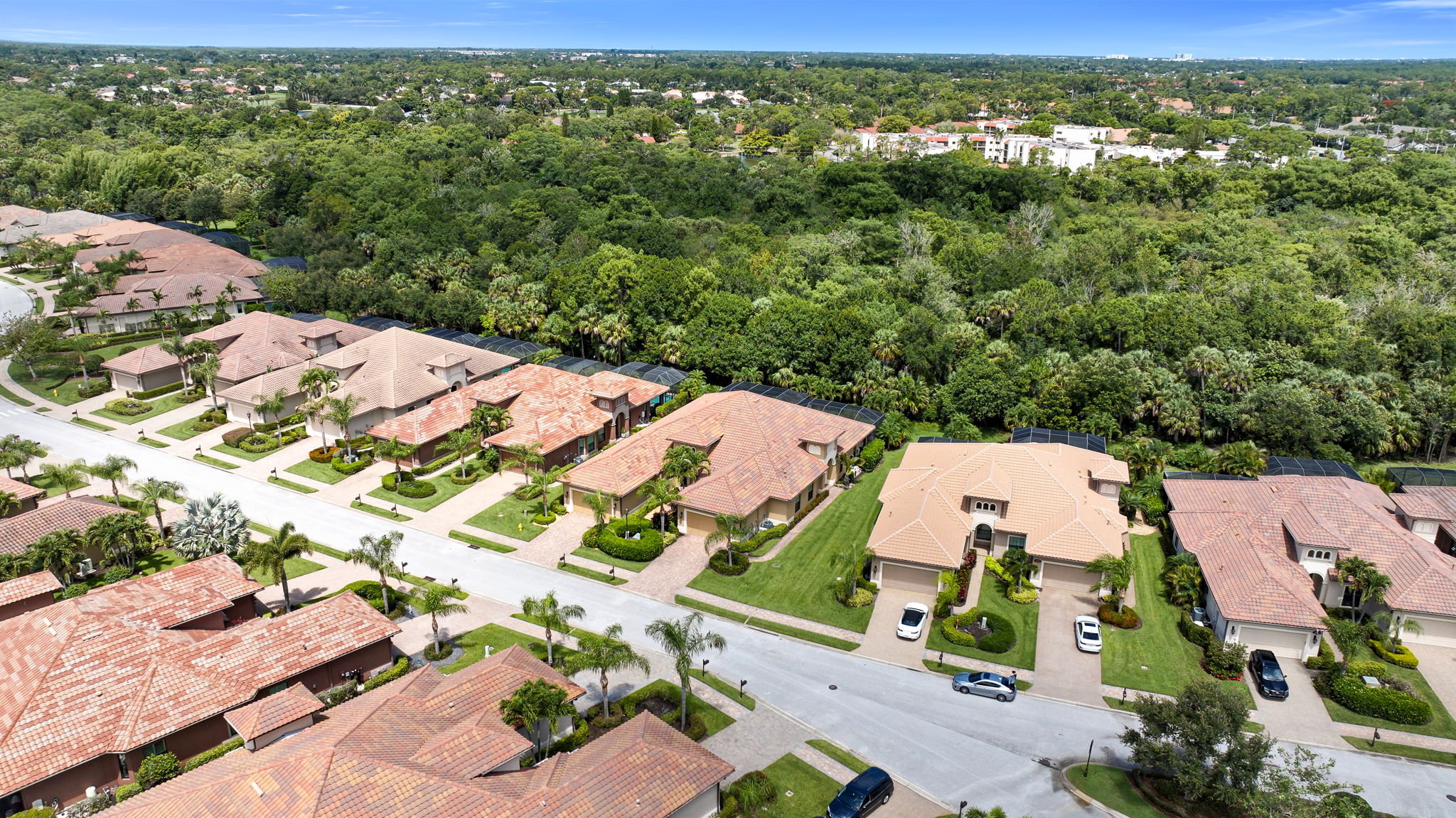 Aerial 3