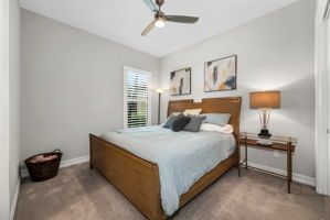 Guest Bed