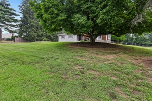 Andover Rd-S1607-003.jpg