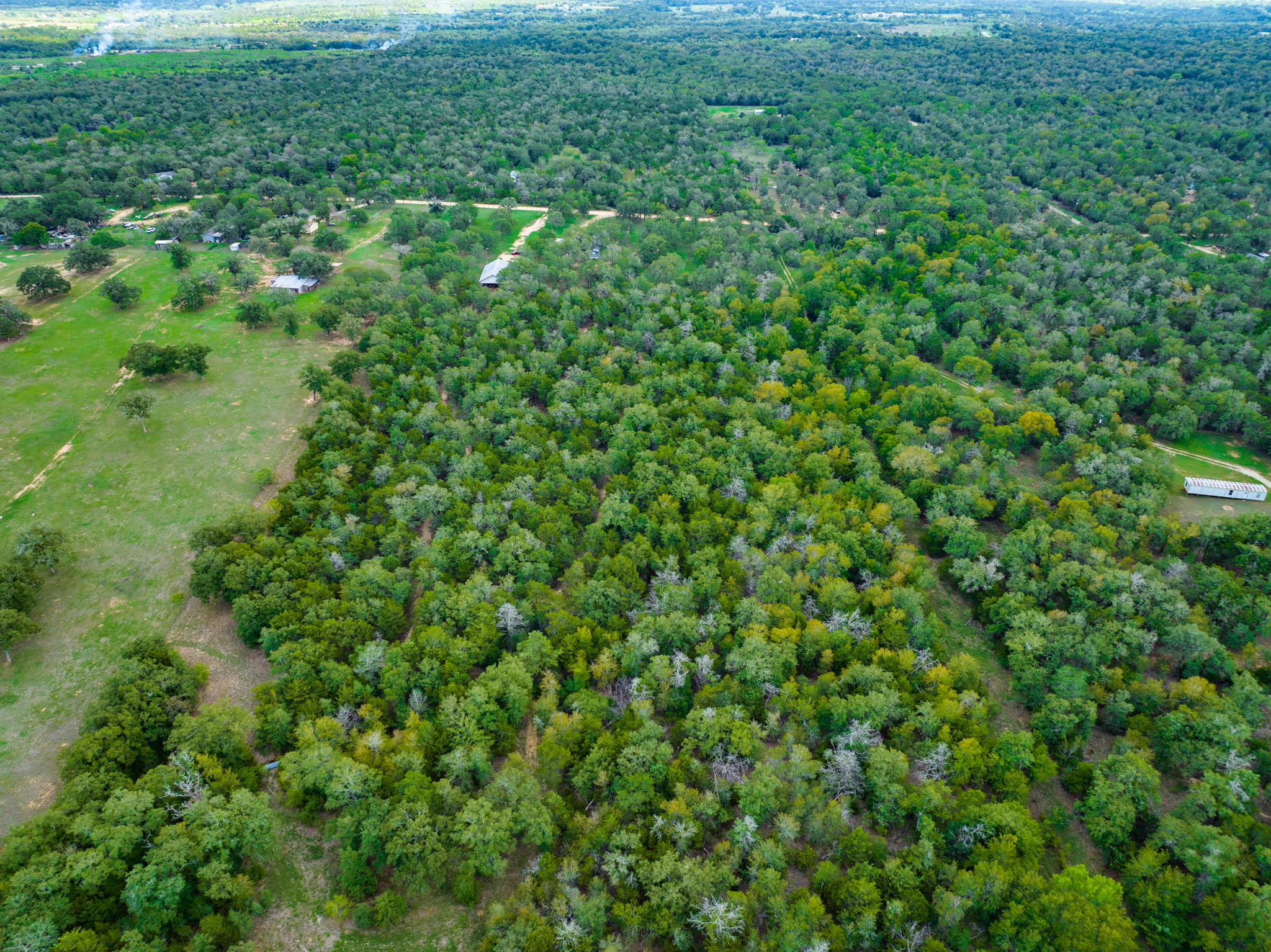659 Hidden Oak Rd, Dale, TX 78616, USA Photo 35