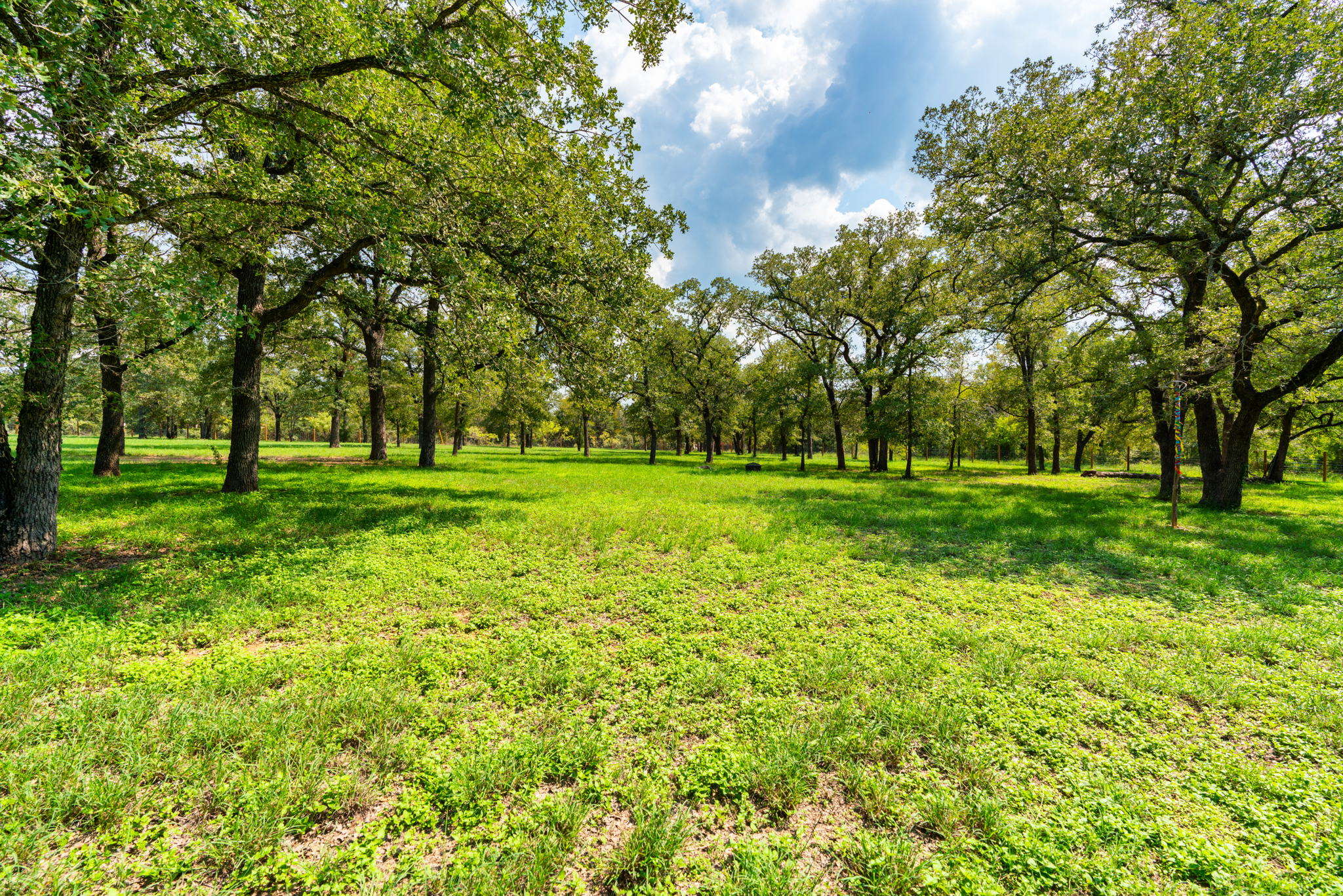 659 Hidden Oak Rd, Dale, TX 78616, USA Photo 24