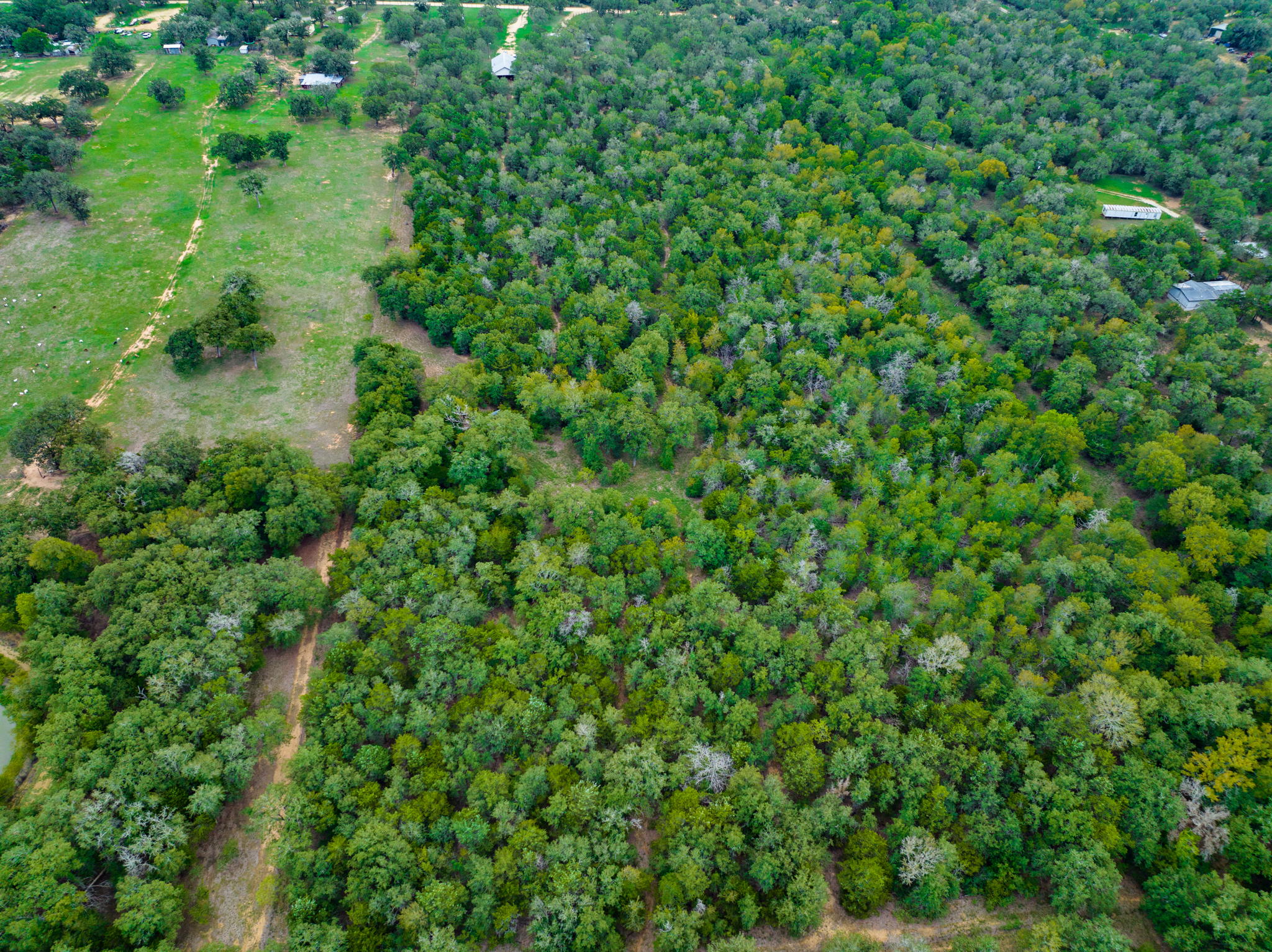 659 Hidden Oak Rd, Dale, TX 78616, USA Photo 29