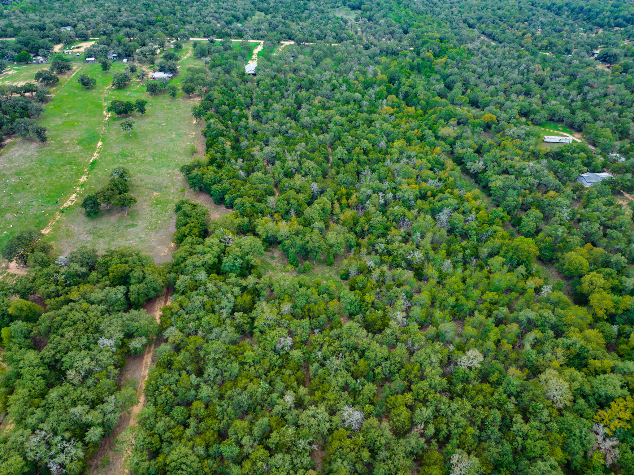 659 Hidden Oak Rd, Dale, TX 78616, USA Photo 30