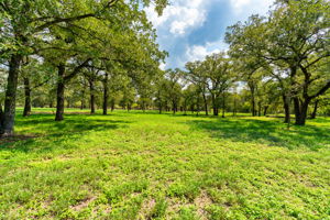 659 Hidden Oak Rd, Dale, TX 78616, USA Photo 23