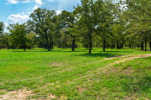 659 Hidden Oak Rd, Dale, TX 78616, USA Photo 22