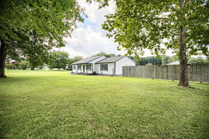  Photo 0