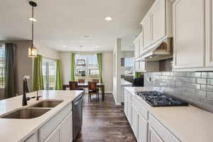 Overlander Ln-S0103-014.jpg