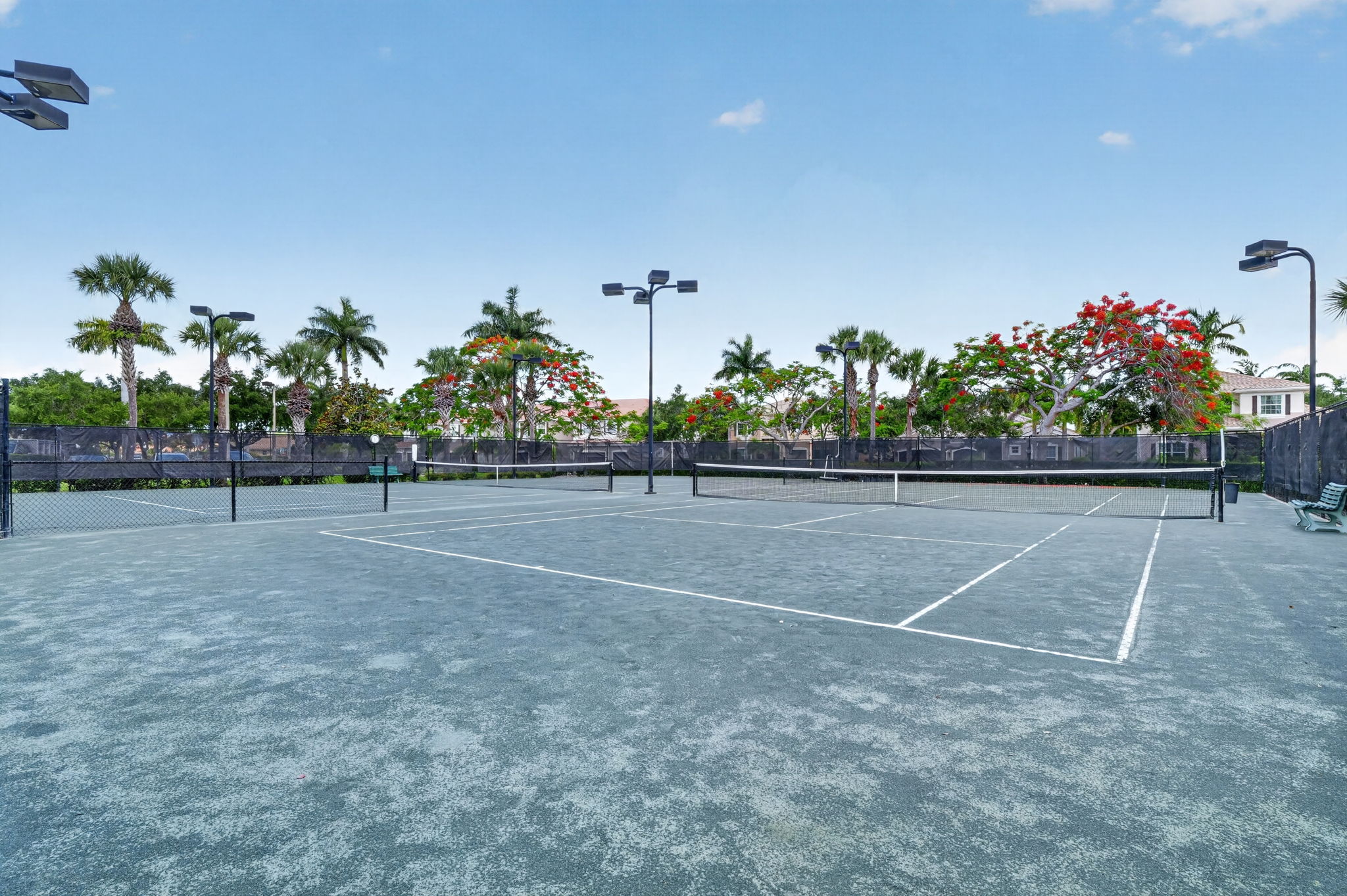  Photo 149