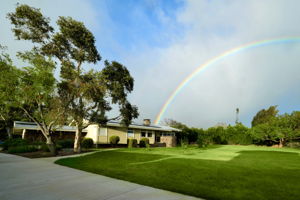 Rainbow Front