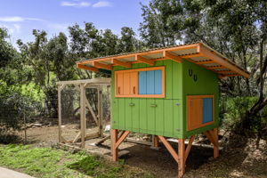 T Chicken Coop