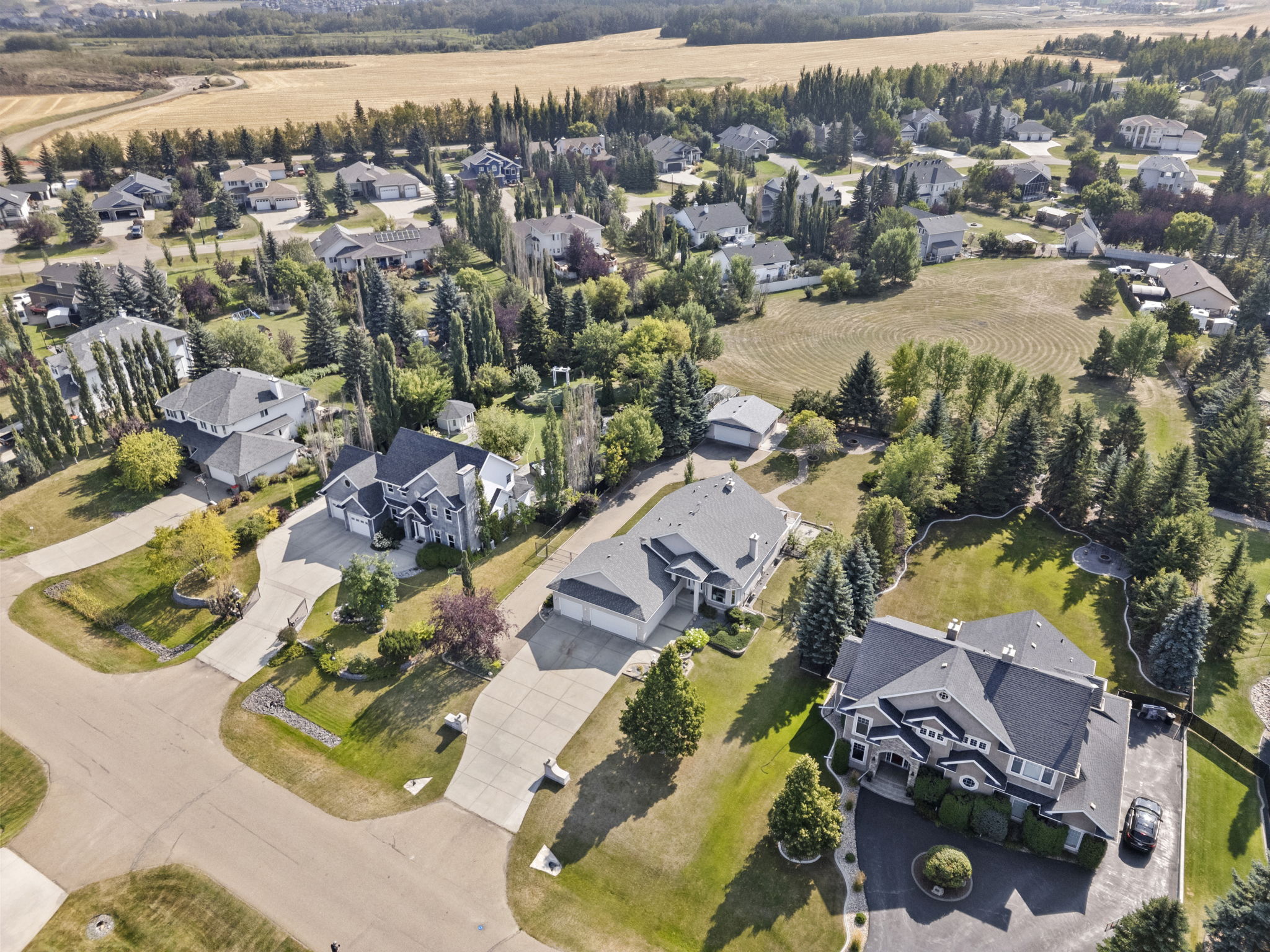 DJI_0365