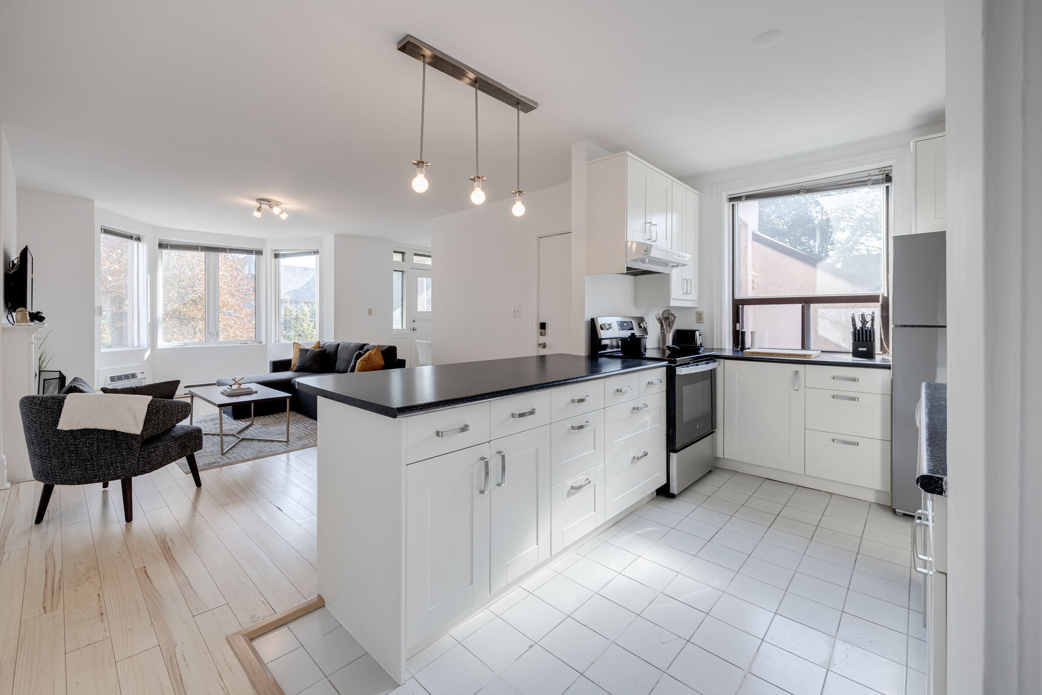 Toronto property showcase — delivered property photograph 12