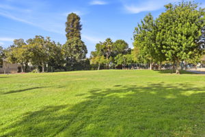 Ryland Park