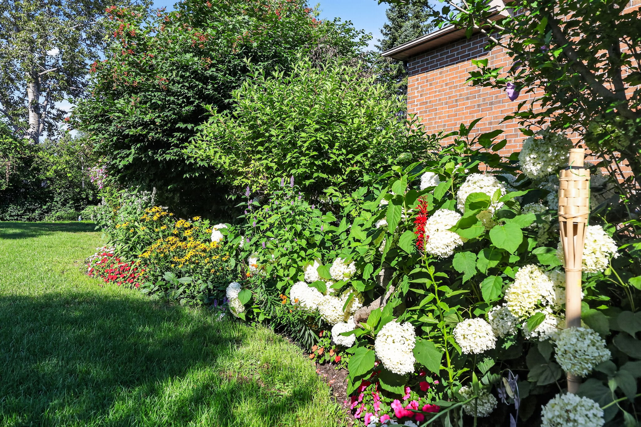  Photo 45