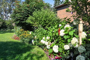  Photo 44