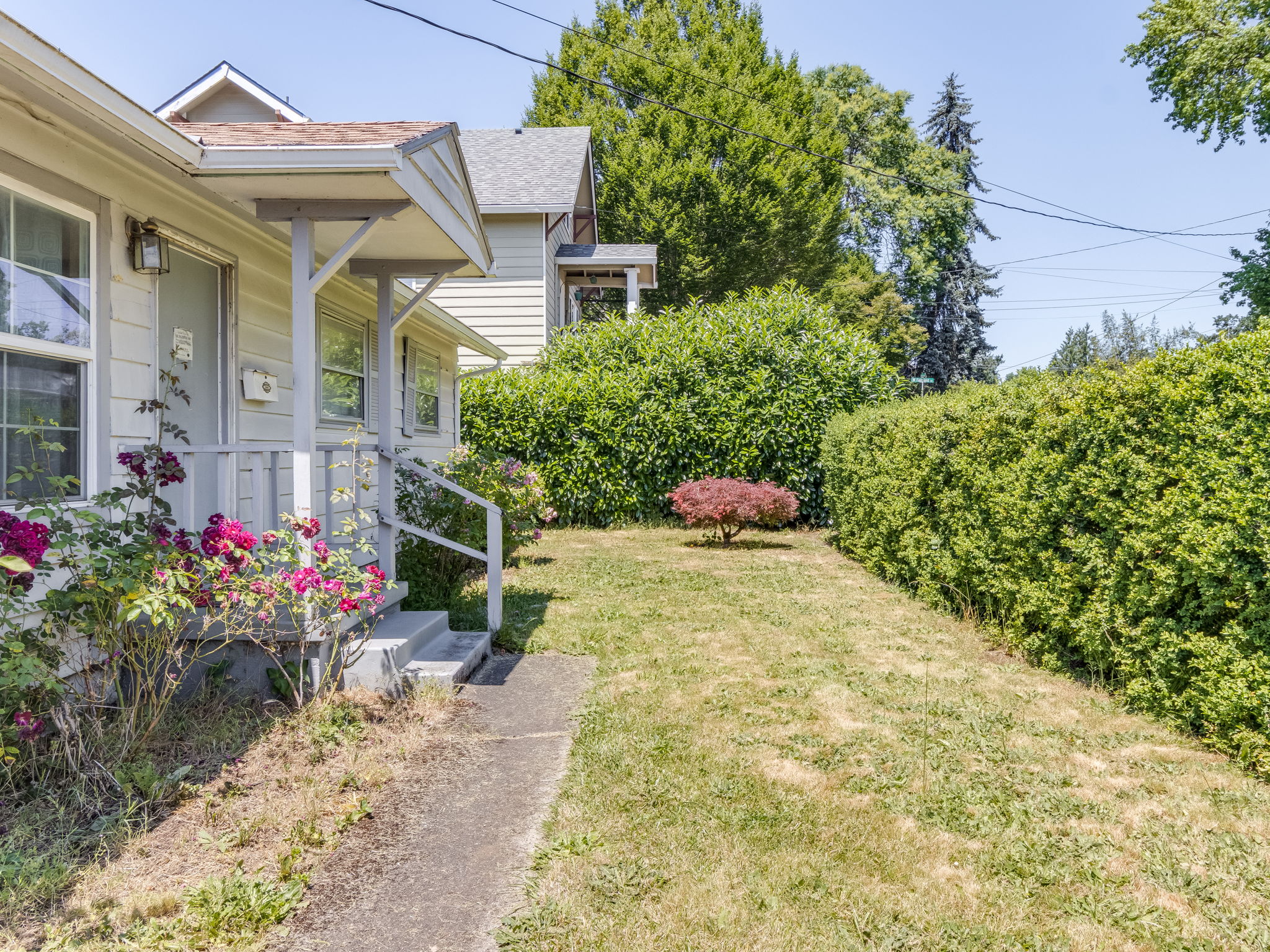 Front Yard