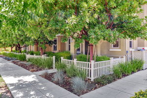 002_660 Tyrella Ave
