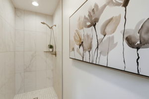 Primary Shower