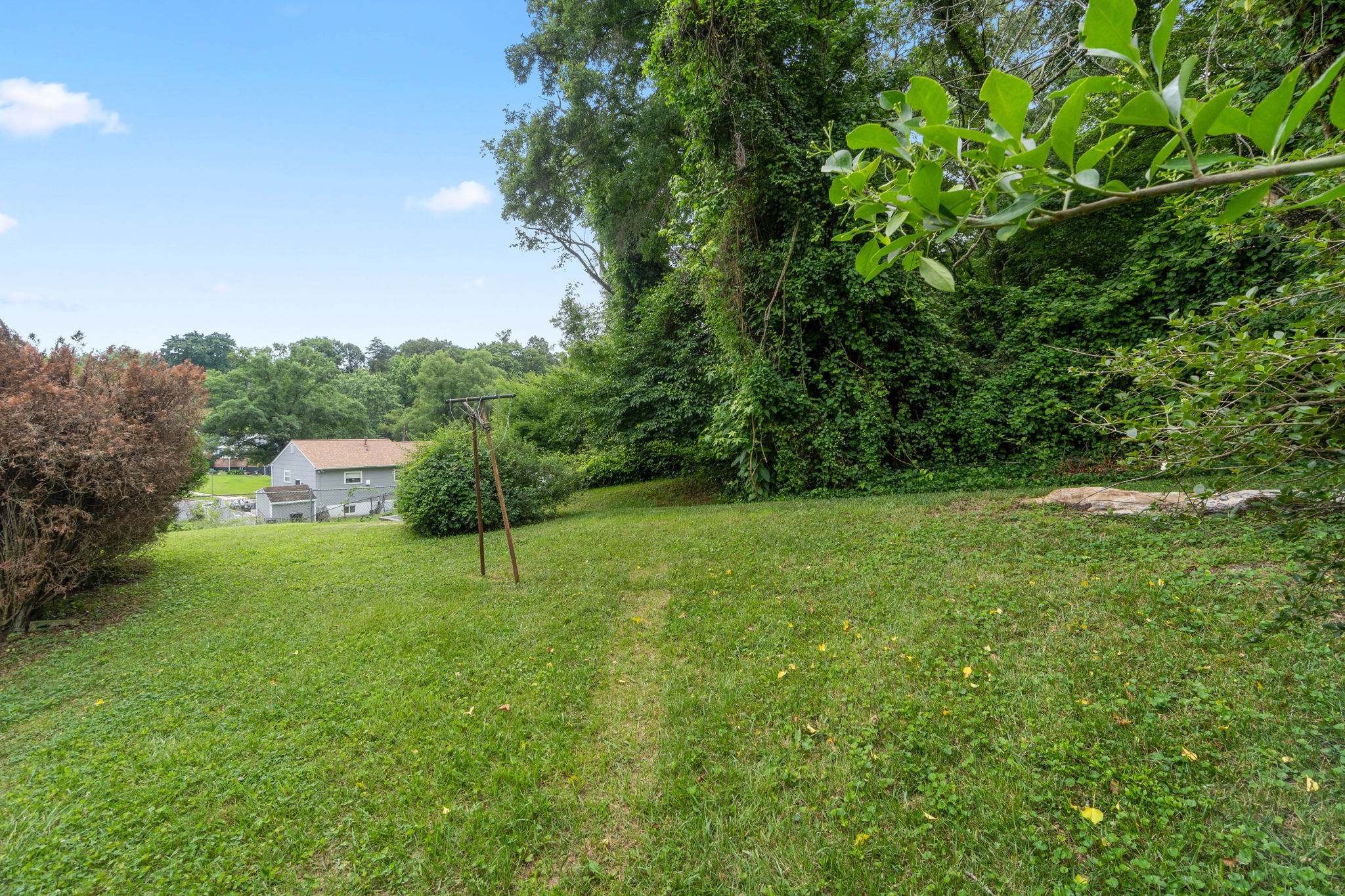 Rear Yard