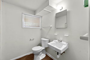 Lower Level - Bathroom
