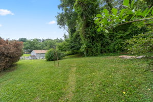 Rear Yard