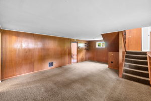 Lower Level Family Room