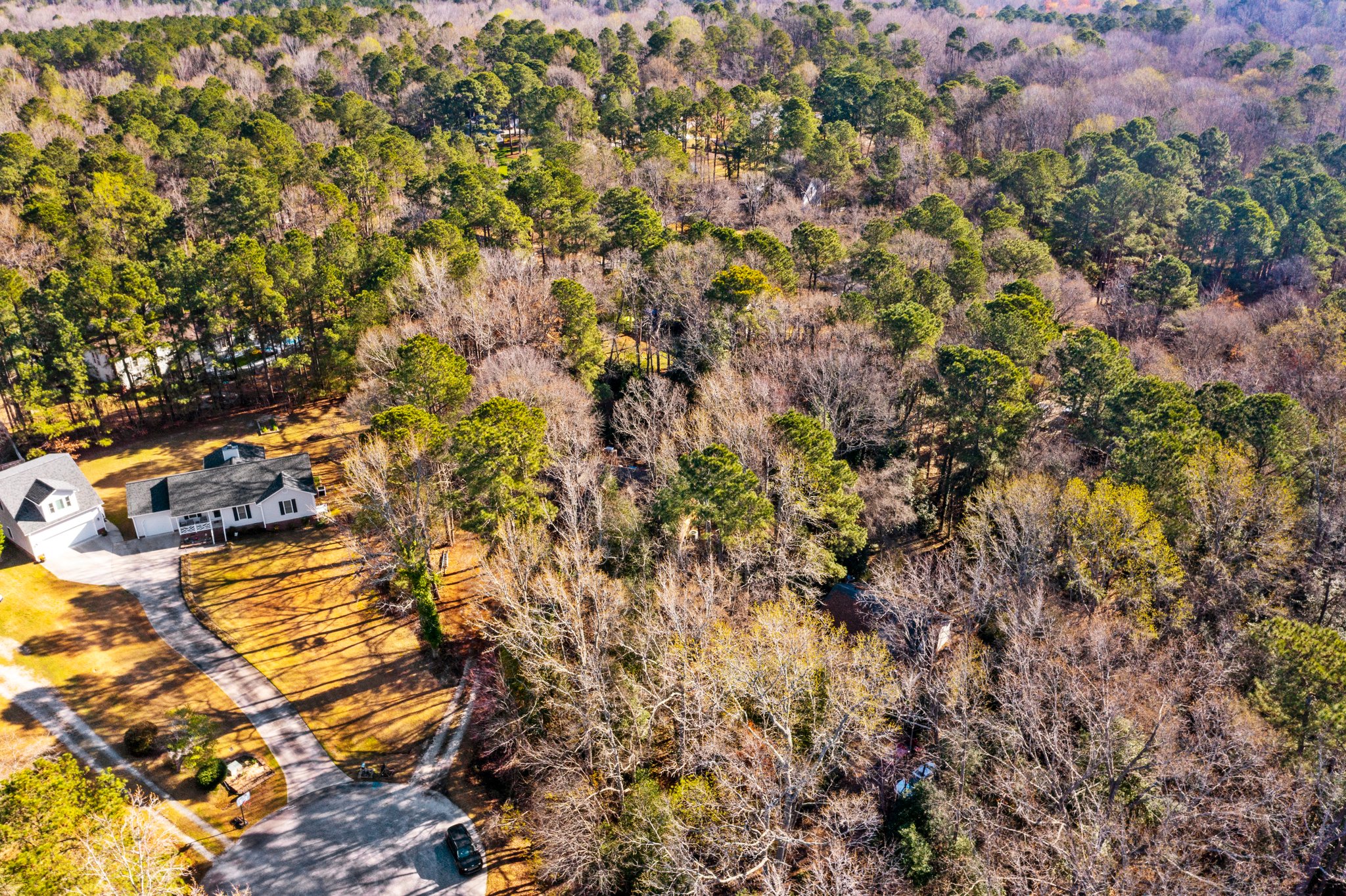 6605 Rose Bay Ct, Willow Spring, NC 27592, USA Photo 22