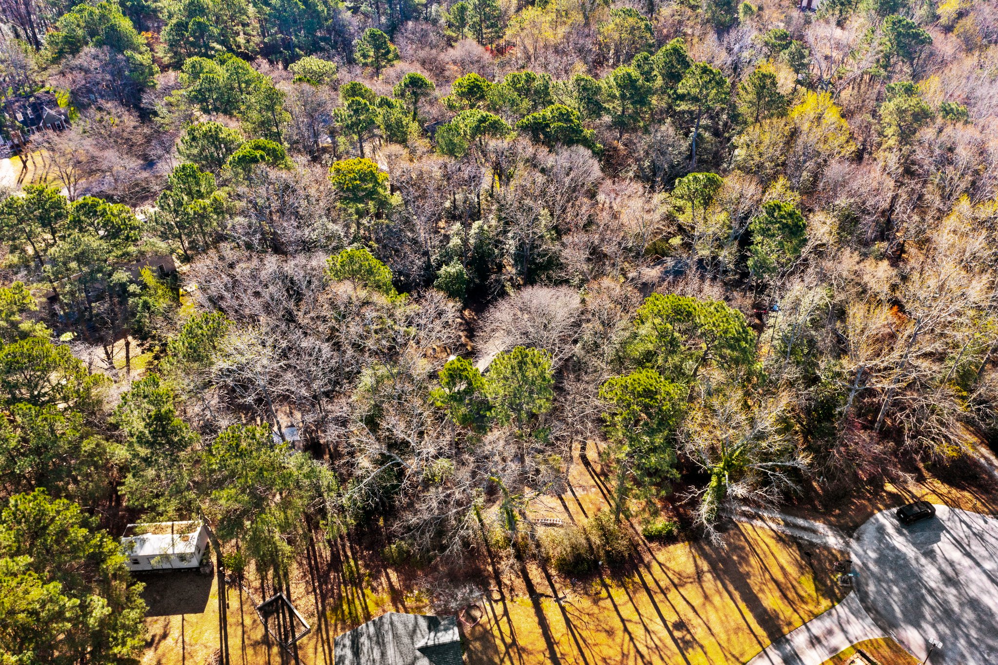 6605 Rose Bay Ct, Willow Spring, NC 27592, USA Photo 19