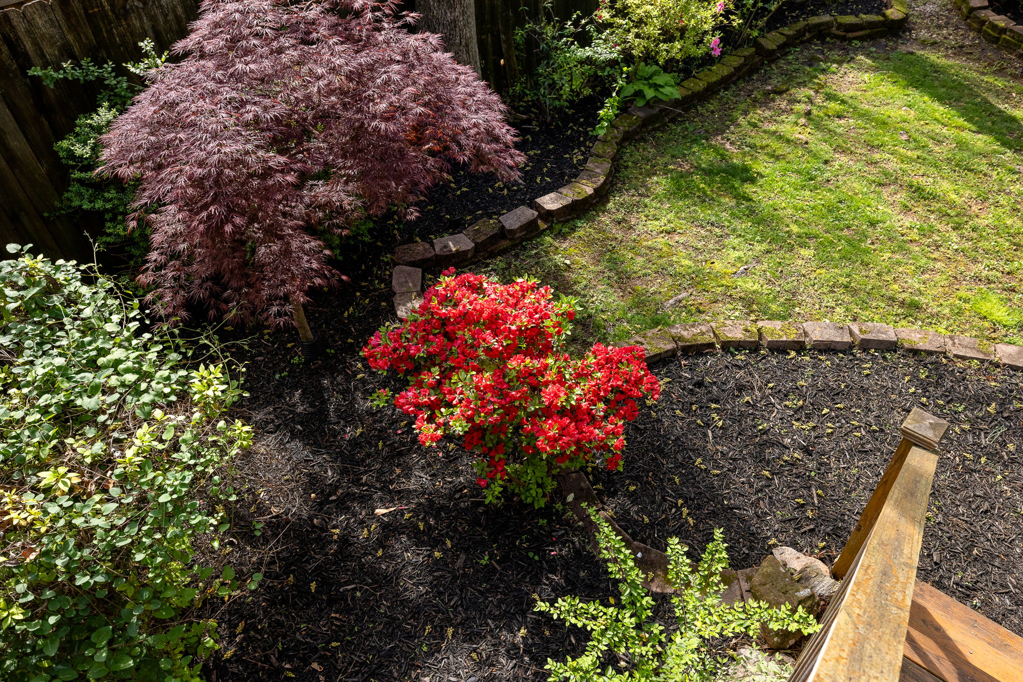 20240403_661glenwood_mincey061