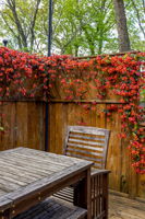 20240403_661glenwood_mincey058