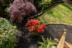 20240403_661glenwood_mincey061