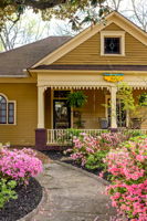 20240403_661glenwood_mincey073