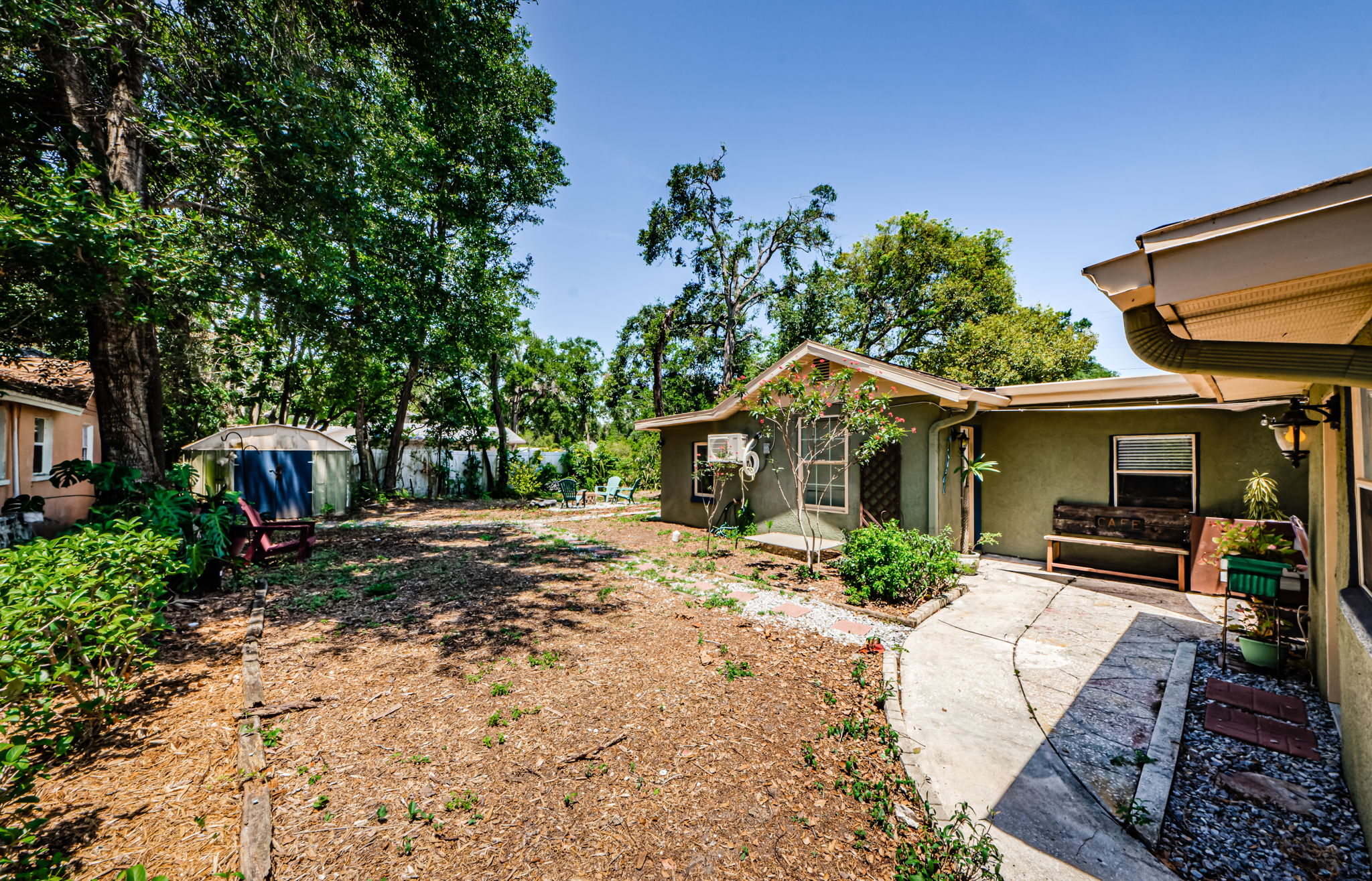 Backyard 1