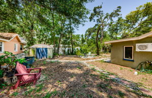 Backyard 2