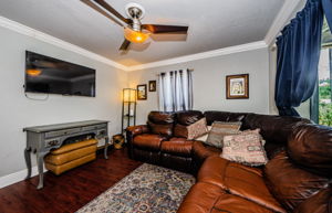 Living Room 2