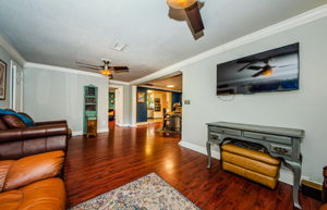 Living Room 4