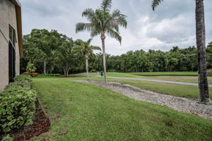 Backyard3