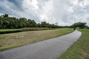 Golf Course3 (1)