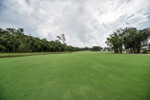 Golf Course4 (1)