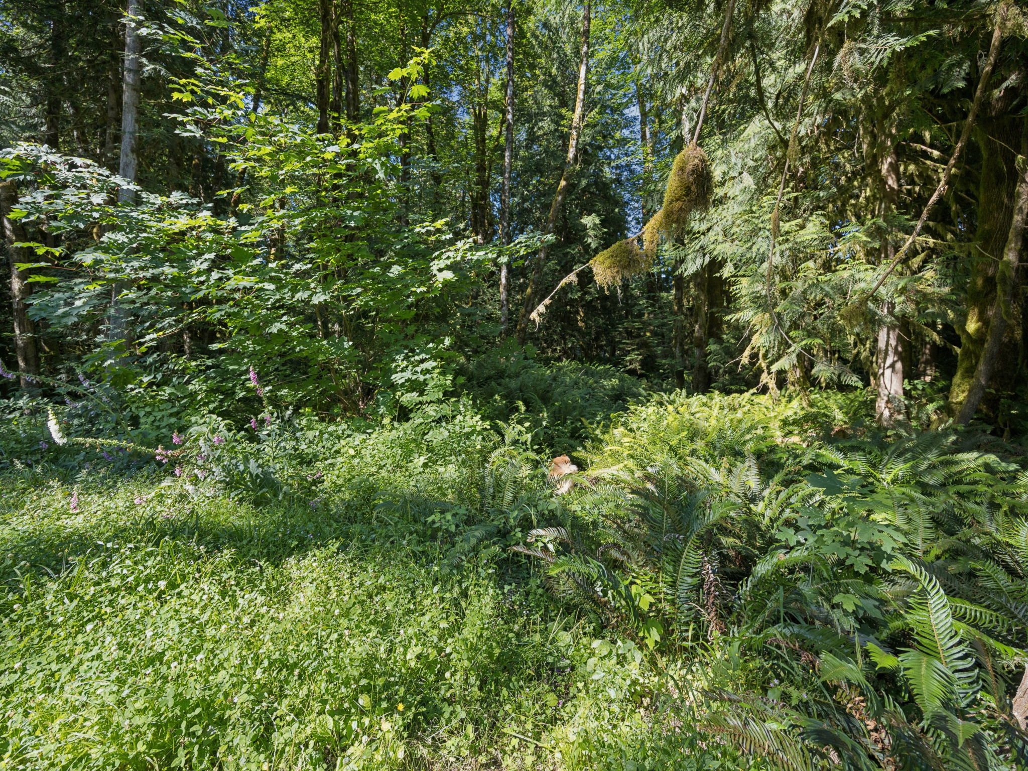  Photo 63