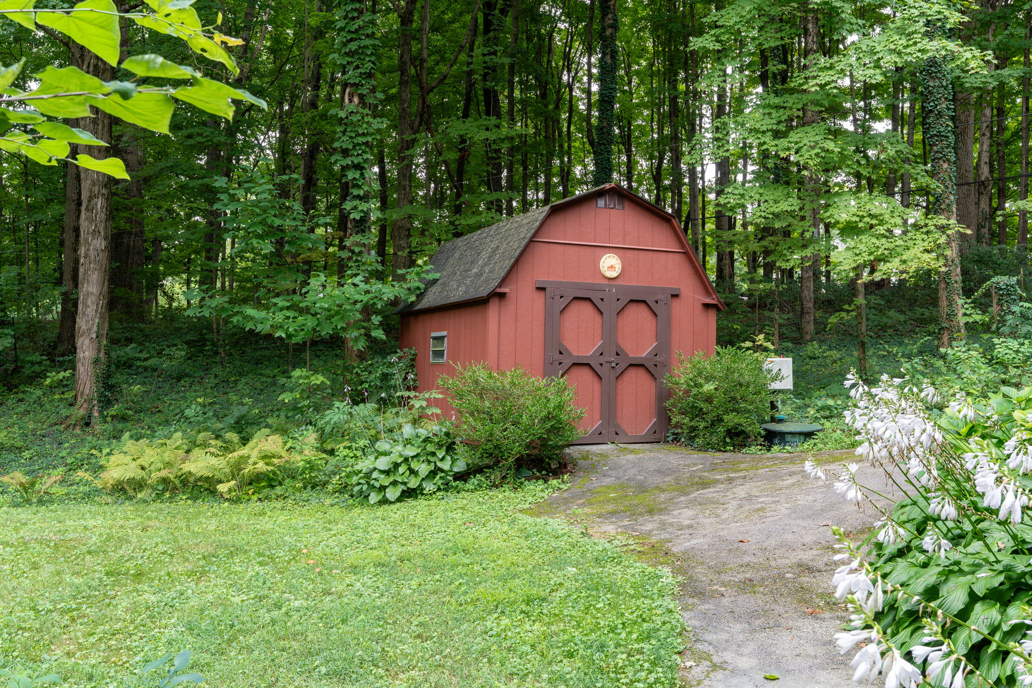  Photo 43