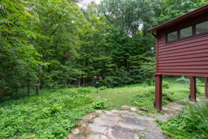  Photo 46