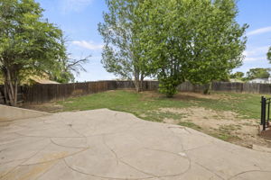  Photo 43
