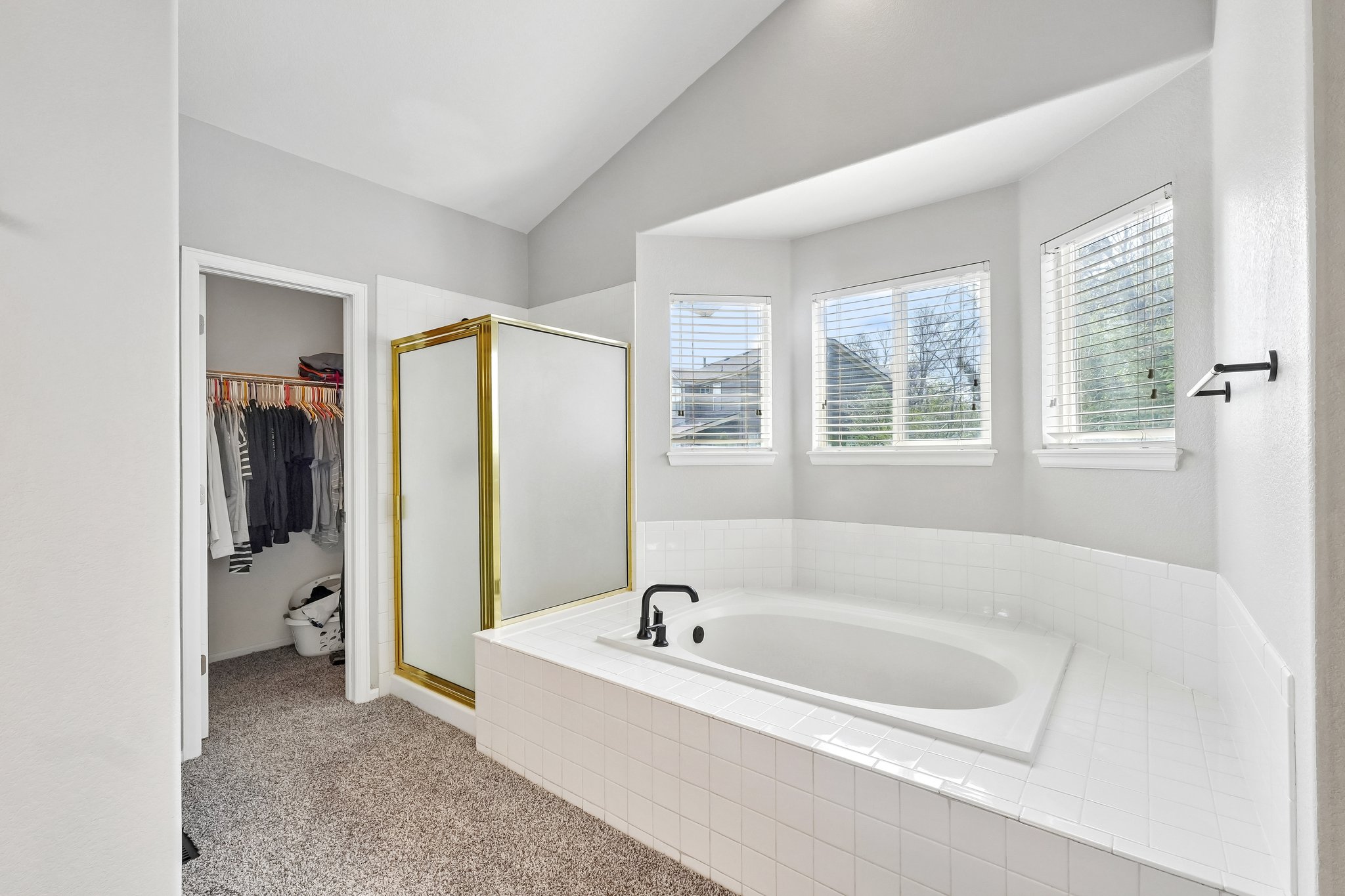 206365 - 6642 Tiger Tooth, Lone Tree, CO 80124-S2304-036.jpg